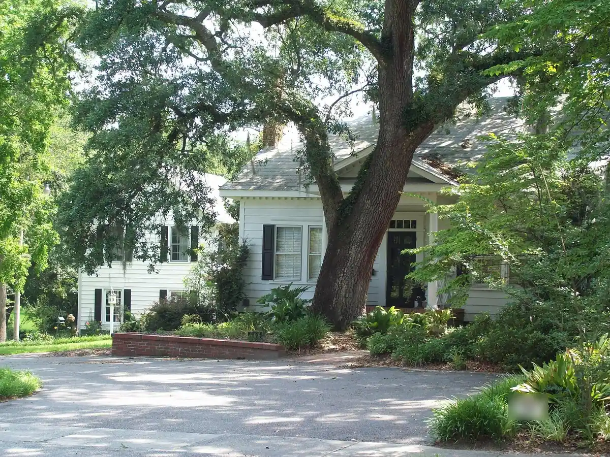An older white wood house with black shutters behind a large oak tree, with a paved driveway, a low brick planter and thick shrubs, on a shaded street in Conway